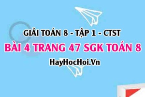 Giải bài 4 trang 47 Toán 8 Tập 1 SGK Chân trời sáng tạo